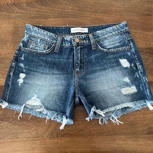 Flying Monkey Shorts